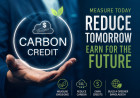 Bangladesh Needs a National Carbon Credit Calculator
