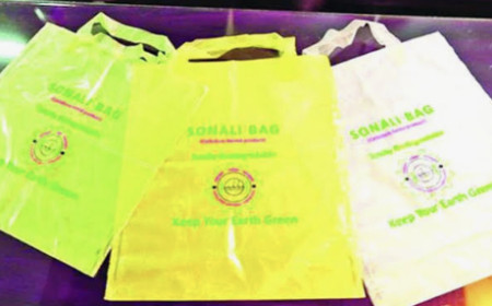 PESTEL Analysis of Sonali Bag in Bangladesh