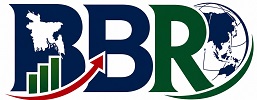 Bangladesh Business Review Logo